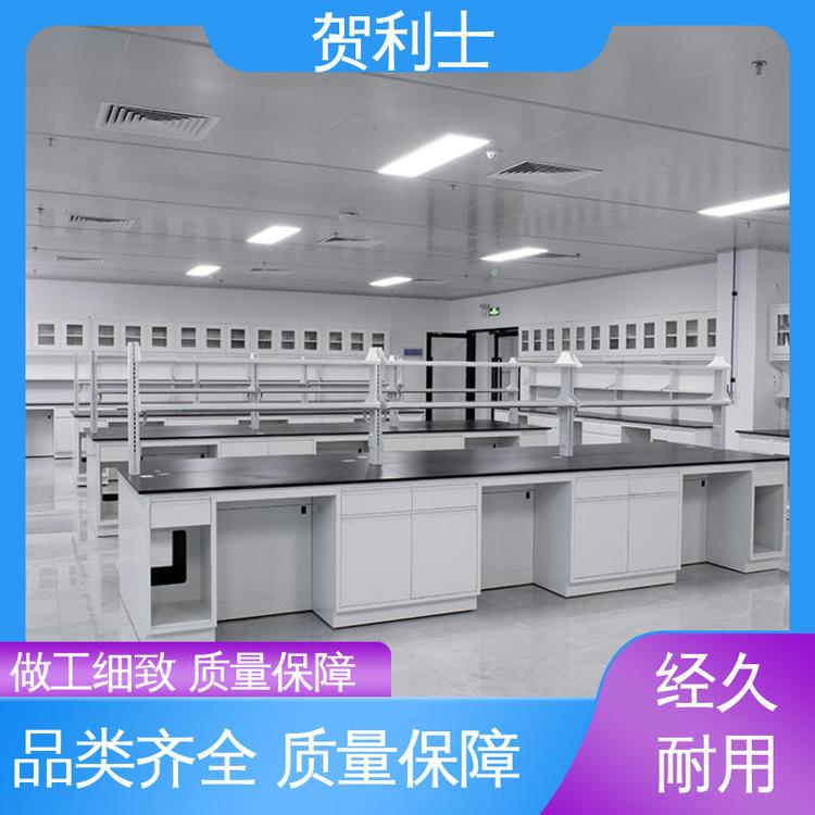 一站式工程 耐腐蚀 全钢试验台 匠心优选 多年经验 贺利士