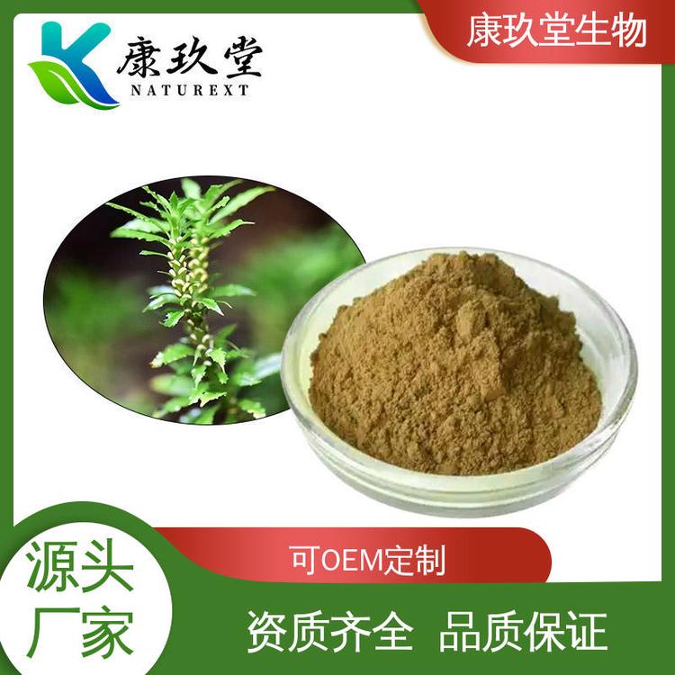 棕色粉末 1%石杉碱甲 资质齐全 千层塔提取物 康玖堂