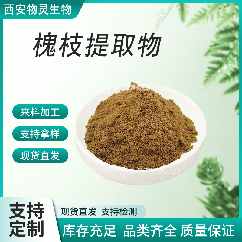 槐枝提取物 20:1 植物萃取原料 水提 槐枝粉 物灵生物 质量稳定 提供小样
