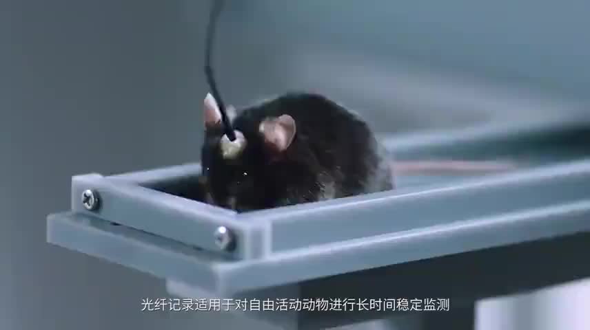 视频