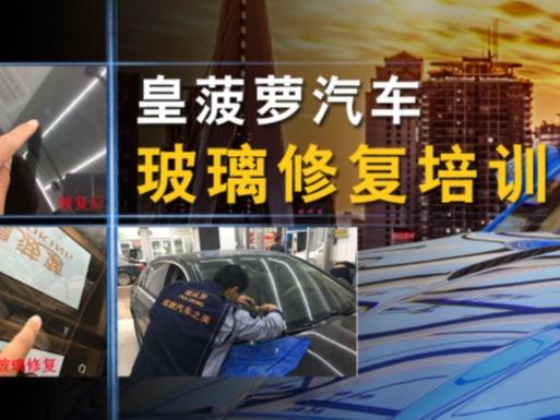 皇波萝