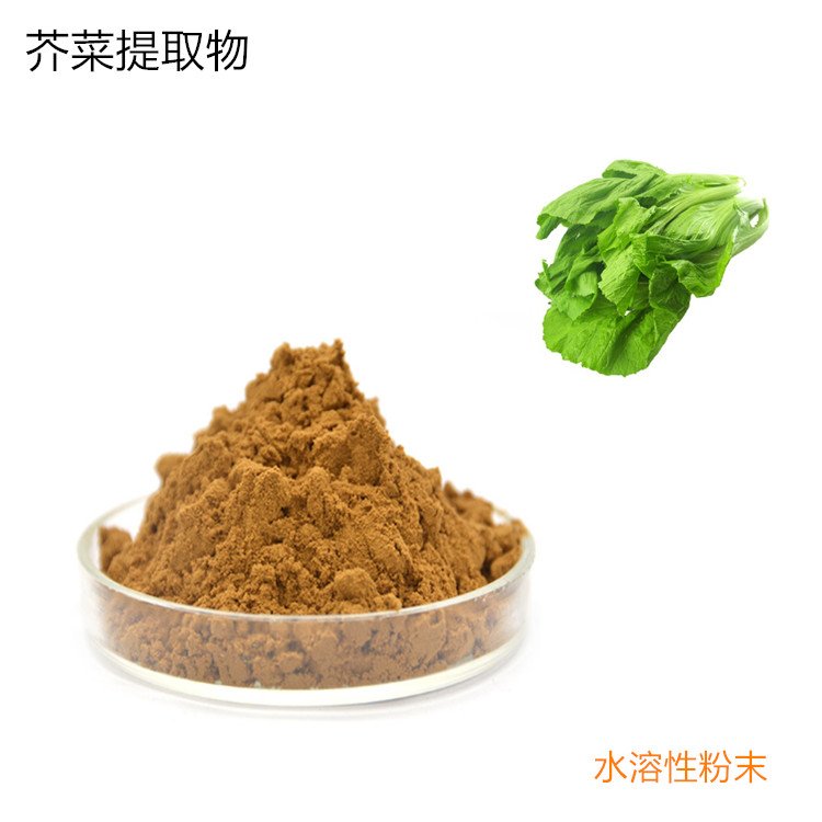 芥菜提取物 喷雾干燥 水溶性粉末 有库存 另有芥菜籽粉