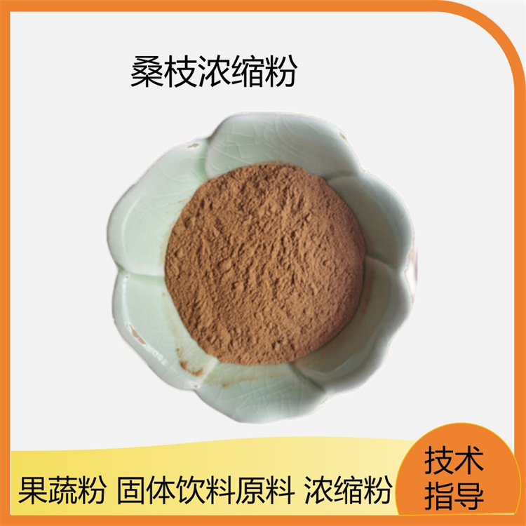 桑枝提取物 水溶性桑条提取物 桑枝浓缩粉 喷雾干燥工艺 可定制