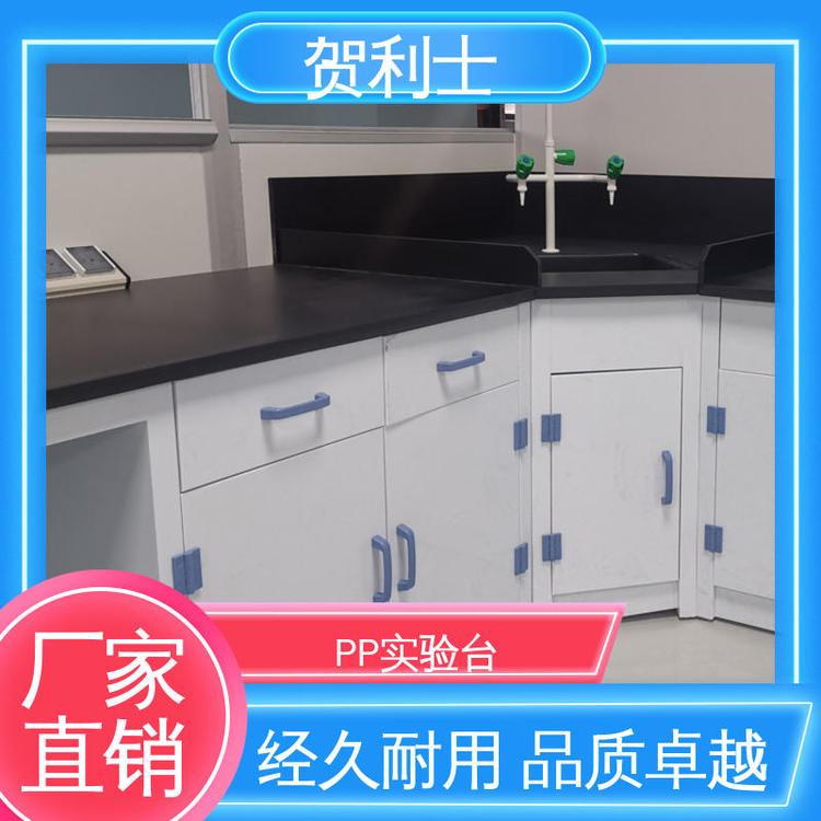 适用有机实验室 按需定制 化学PP实验台 耐酸碱实验室边台 贺利士