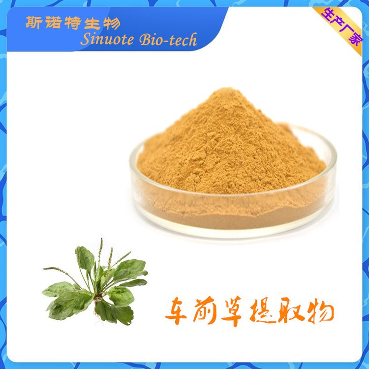 车前草提取物 浓缩车前子粉 植物萃取 植提老厂 斯诺特生物