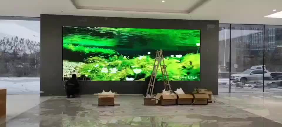 视频