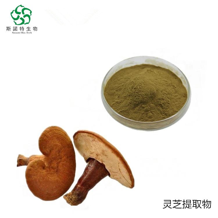 斯诺特 SC厂 灵芝提取物 富含水溶性多糖 粉末状 易保存