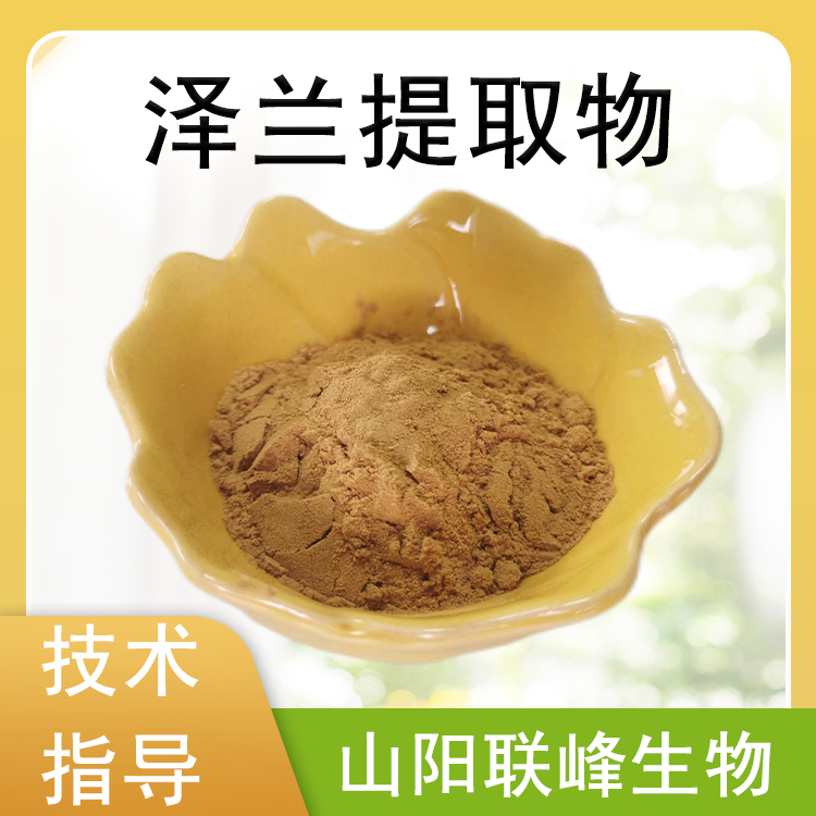 泽兰提取物 10：1泽兰粉 水溶浓缩粉 食品原料 1公斤起订