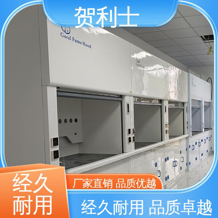 贺利士 pp抽风柜 pp材质通风柜 结构牢固可靠 匠心优选 多年经验