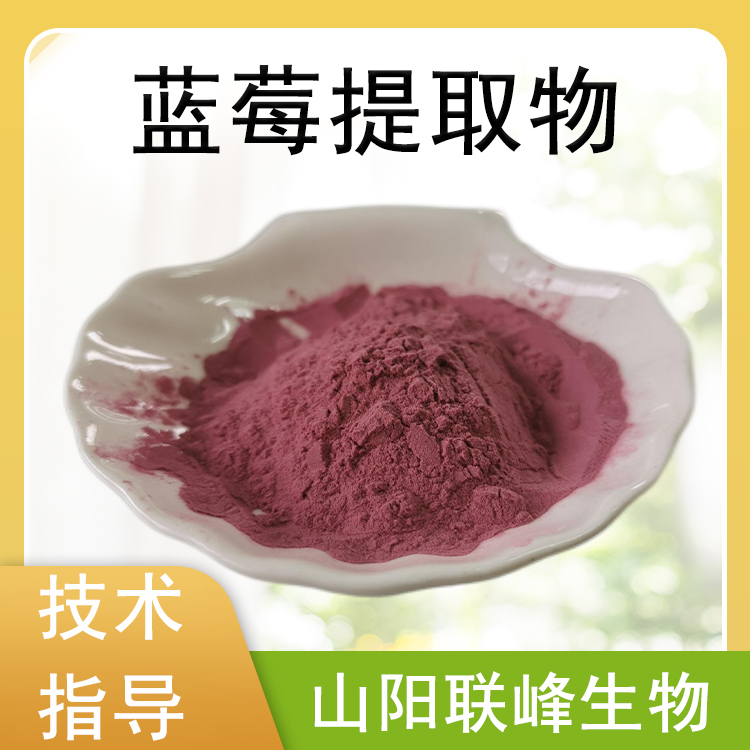 蓝莓提取物 水溶浓缩粉 蓝莓粉 食品饮料原料 榨汁喷粉