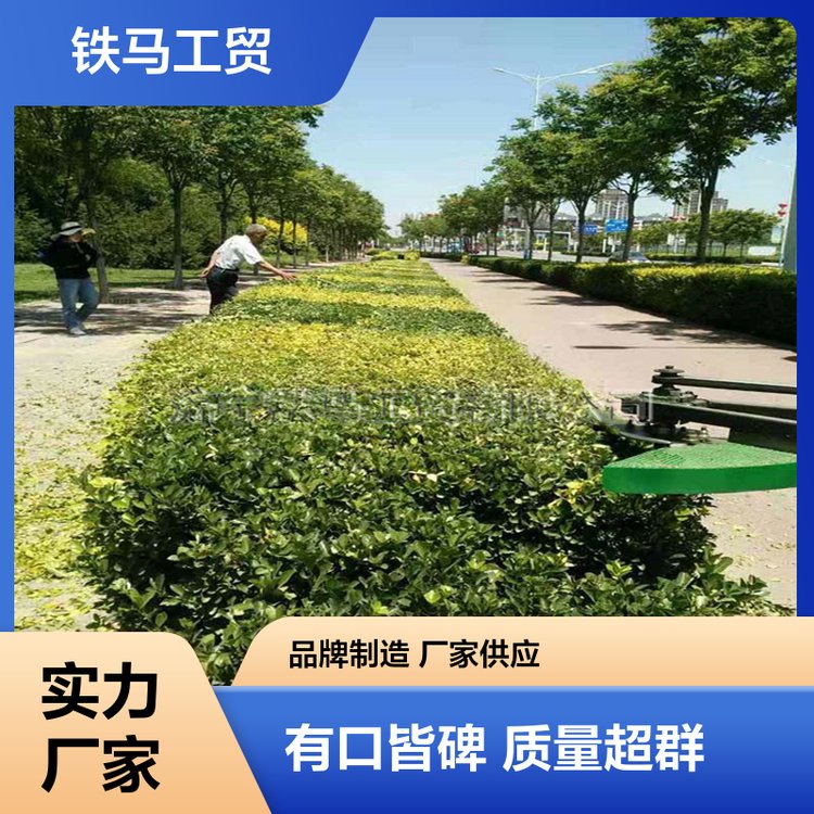 绿篱电动修剪机 充电式修枝机器 使用方便 铁马工贸定制