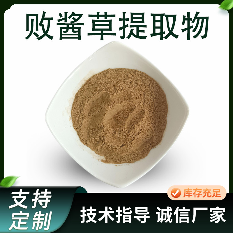 败酱草提取物 水溶 苦麦菜浓缩粉 植物加工原料 可定制 1kg起批