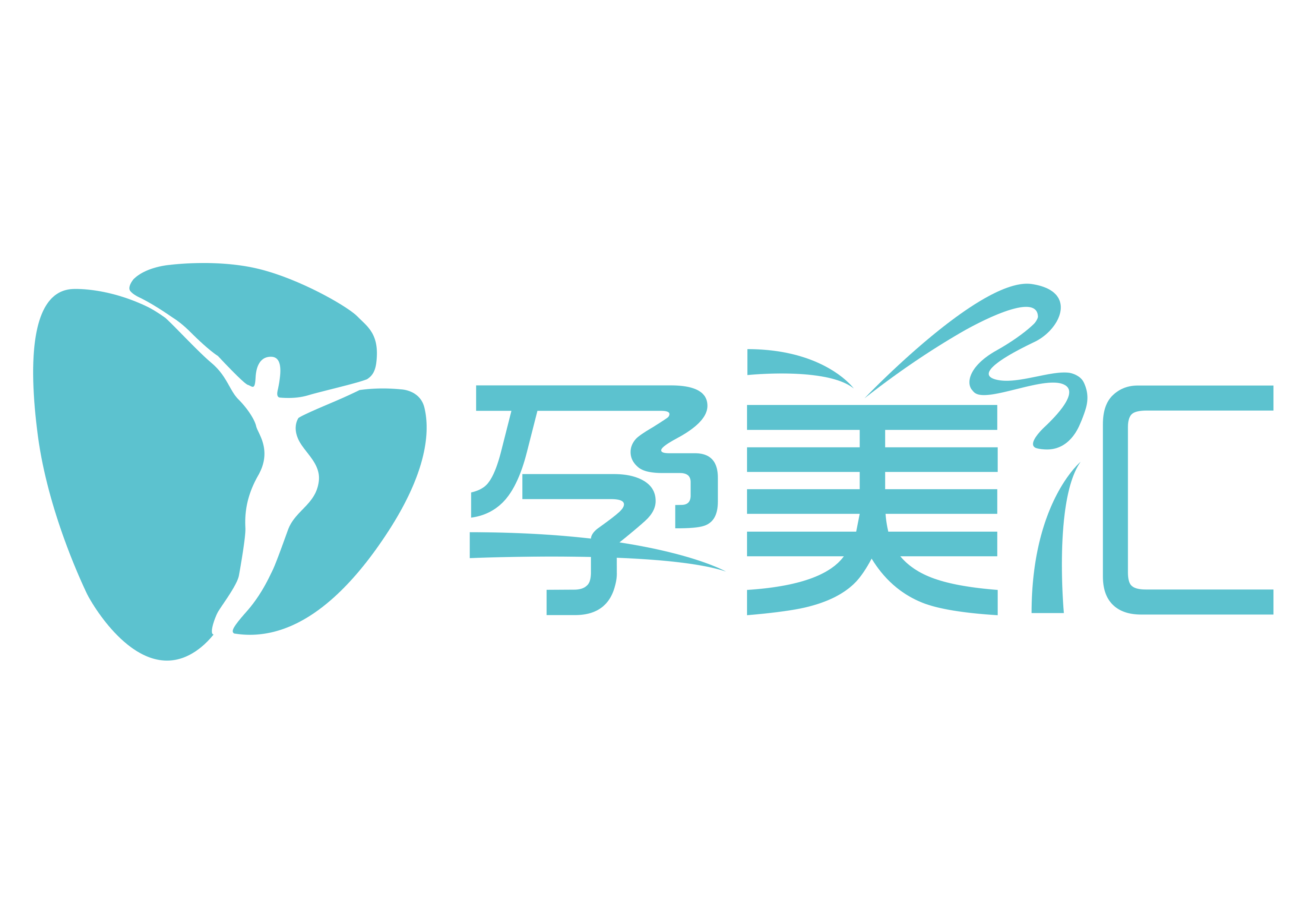 孕美汇