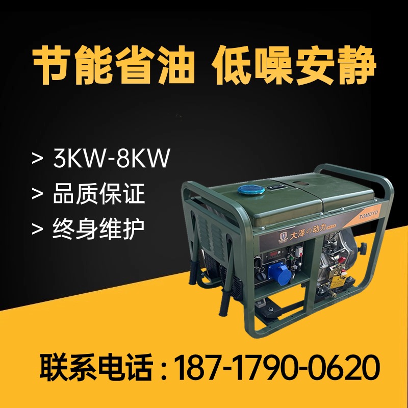 发电机 大泽动力 TO3800ET-Z 电动 15L3000W 3KW开架式柴油发电机组