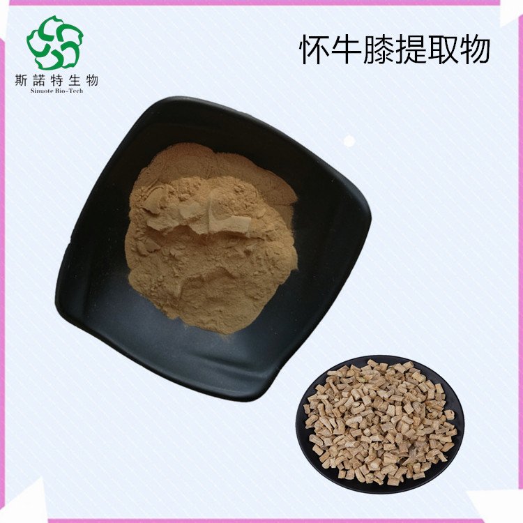 怀牛膝提取物 根浓缩萃取 原料粉 另有浸膏供应 斯诺特