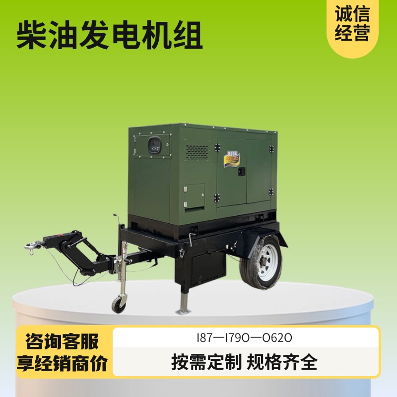 出口 大泽动力TO28000ETZ 四缸水冷25KW柴油发电机 机房用 ATS全自动