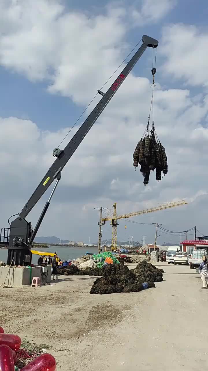 视频