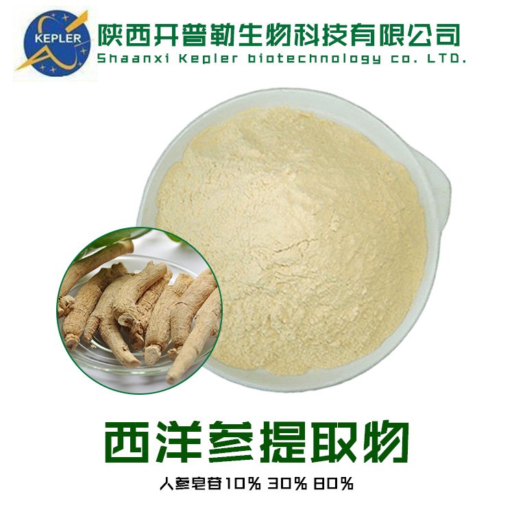 西洋参提取物 总皂苷 植物提取粉 保健食品固体饮料工厂