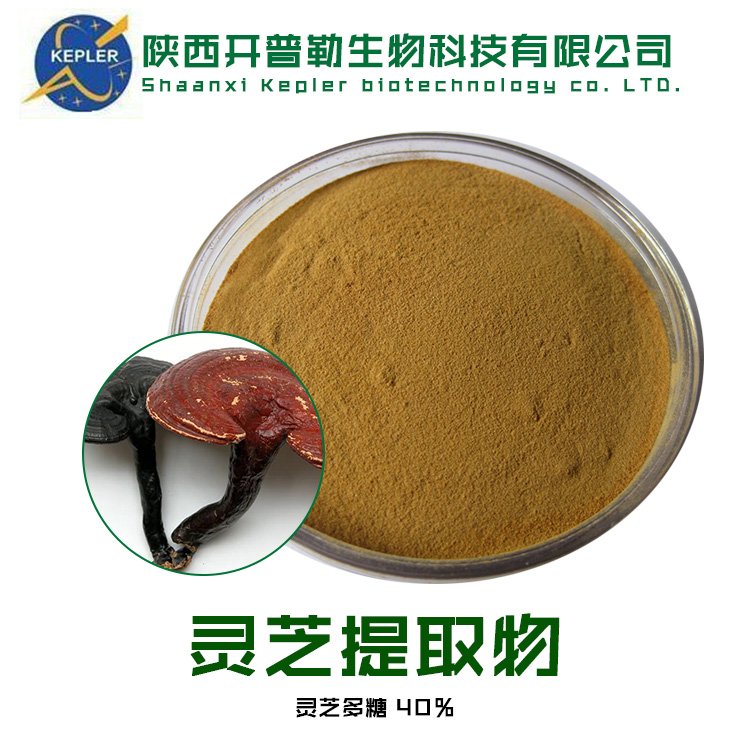 灵芝提取物 灵芝三萜 粗多糖 水溶 保健食品原料备案工厂