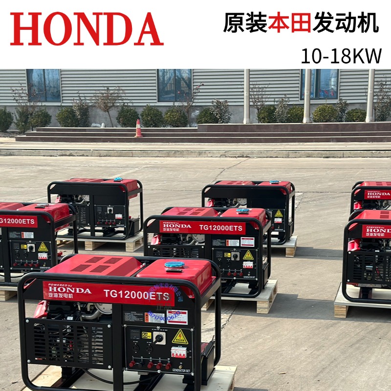 进口大泽动力10KW汽油发电机GX630动力15KW18KVA等功率双缸风冷