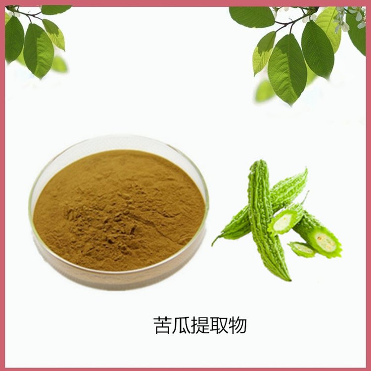 SC证 苦瓜提取物 含量20% 精细粉末 无杂质 出厂合格