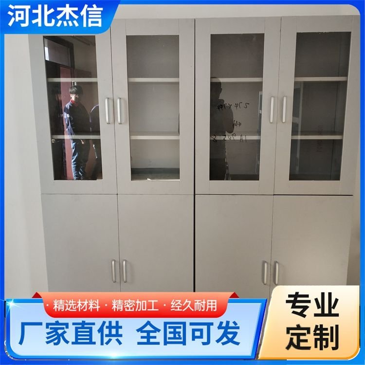 独立全木试剂柜 酸碱柜药品危化品柜 款式齐全 长期供应