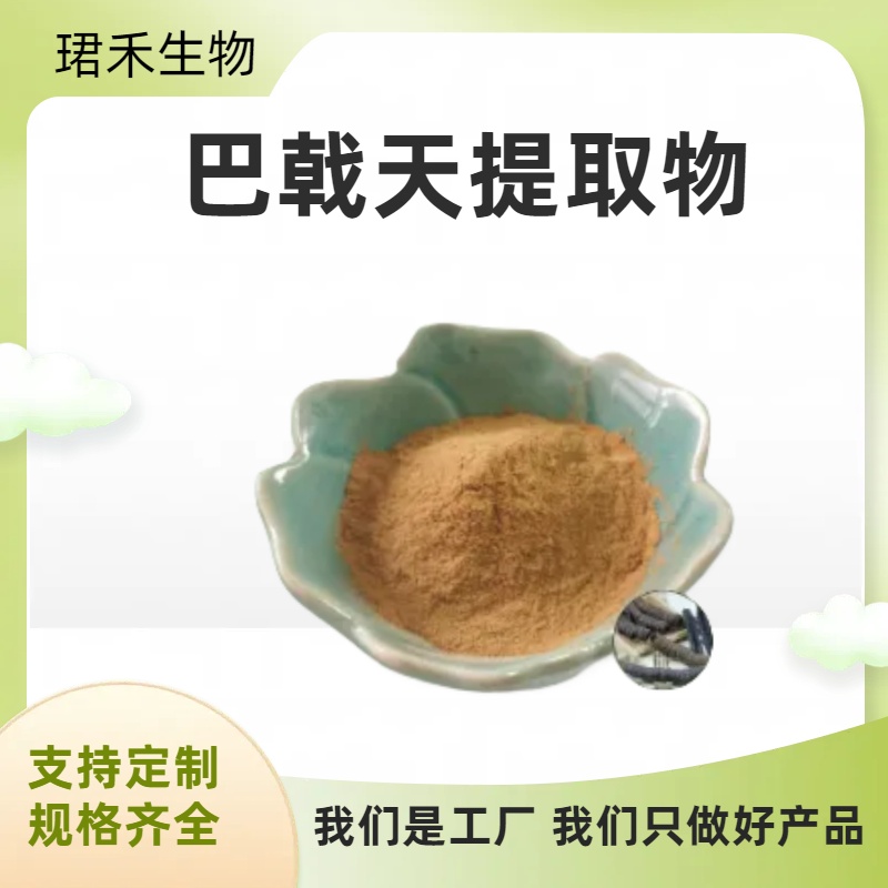 巴戟天提取物 含巴戟天多糖30% 鸡肠风植物提取粉 珺禾
