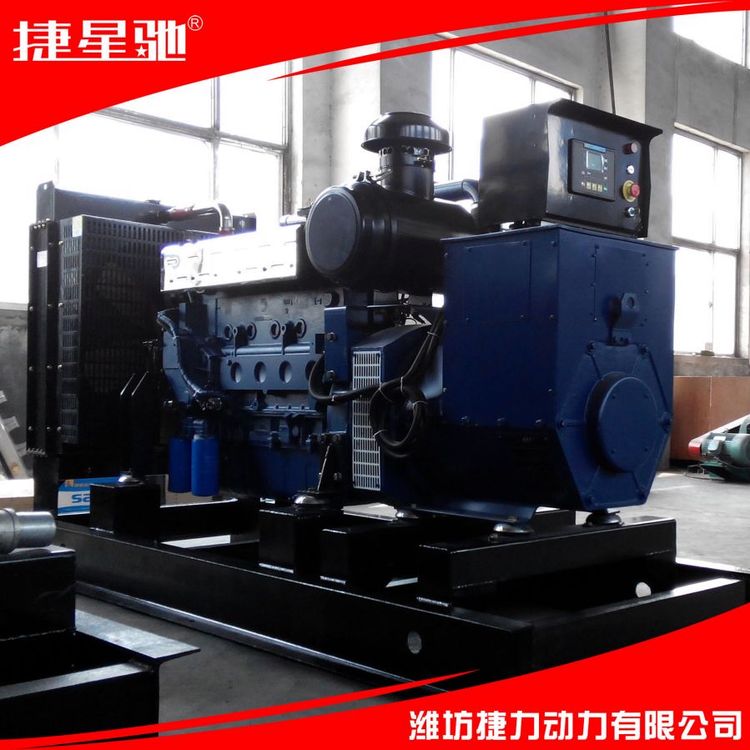 捷力动力 200KW 天然气沼气发电机组 维护方便 稳定耐用 保证质量