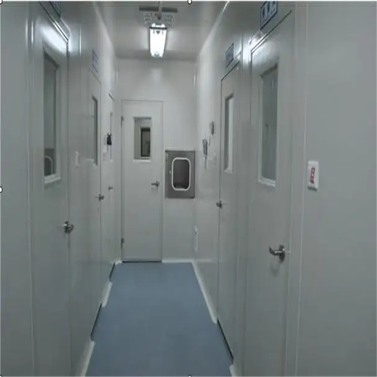 LUMI 步入式恒湿恒温实验室 密封良好具备防反锁功能