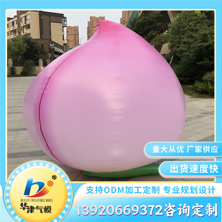 水果蔬菜模型定制 充气仿真气模 节庆活动美陈装饰