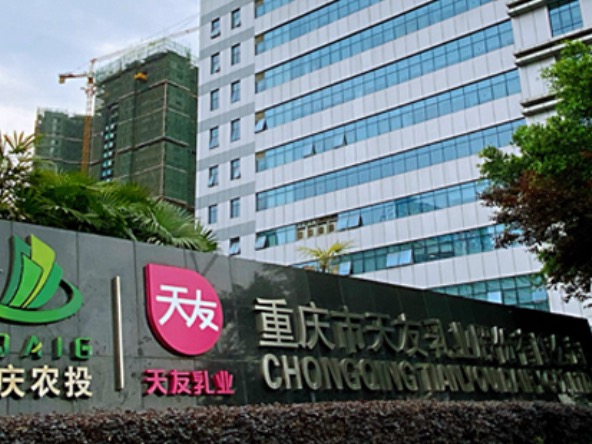 重庆天友