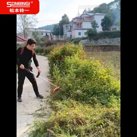视频