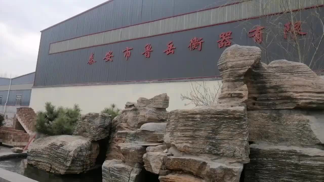 视频