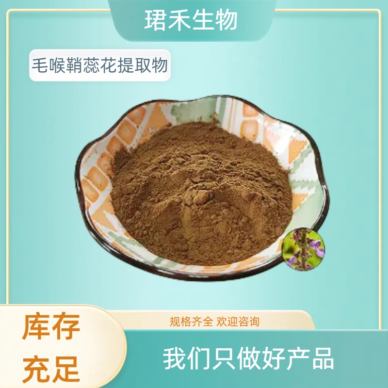 毛喉鞘蕊花提取物 含弗斯可林 毛蕊花浸膏粉 水溶性粉末 多规格可
