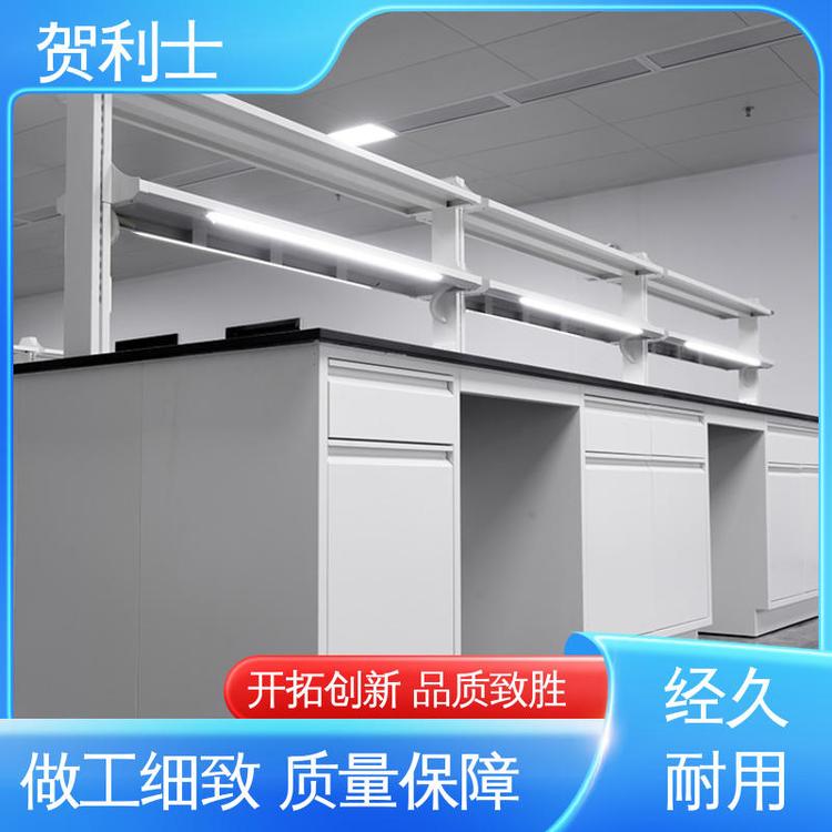 性能优越 防静电 全钢结构实验室 品类齐全 质量保障 贺利士
