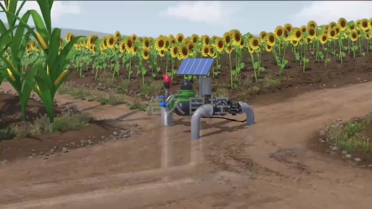 视频