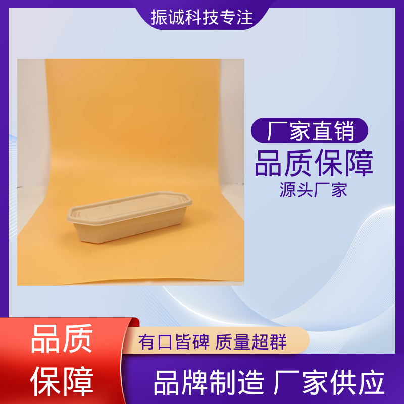 振诚科技 一次性方碗 符合限塑标准餐盒 加厚 儿童带餐便携环保