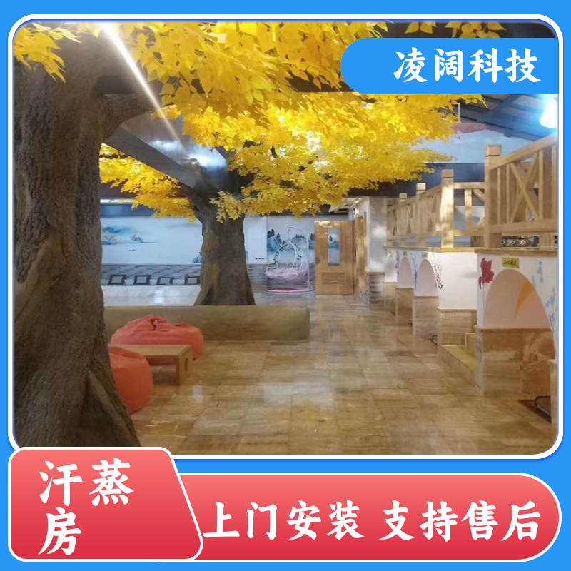 凌阔 家用 硅藻泥汗蒸房 支持售后维保 包设备包安装
