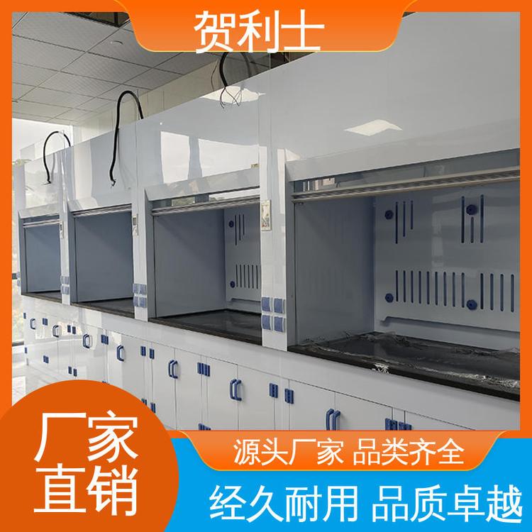 品种多样 长期供应 结构牢固可靠 PP净气型通风柜 坚固 贺利士