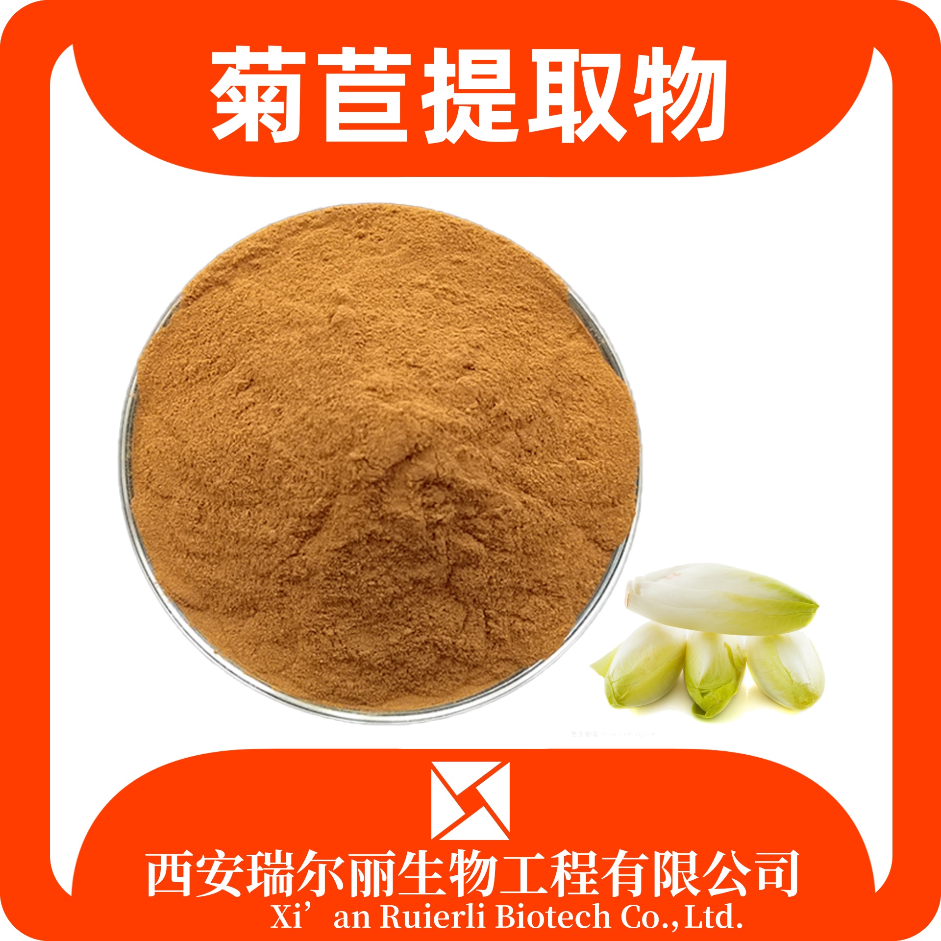 菊苣提取物 10:1速溶菊苣粉菊苣浓缩粉现货 资质全SC厂 食品原料