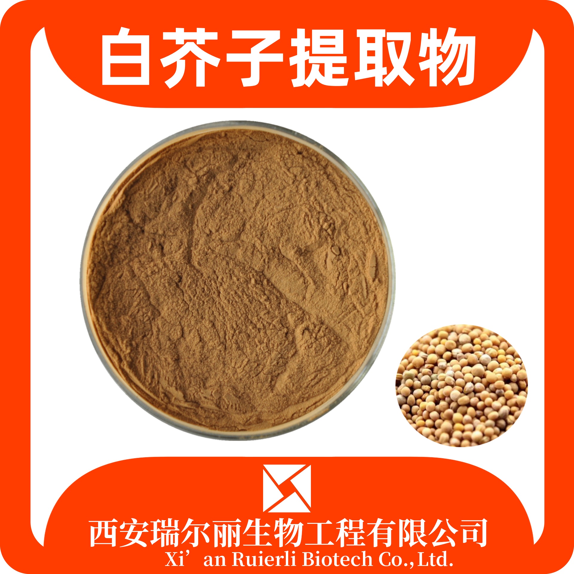 白芥子提取物 水溶白芥子粉 速溶浓缩粉 辣菜子提取物 SC证瑞尔丽生物