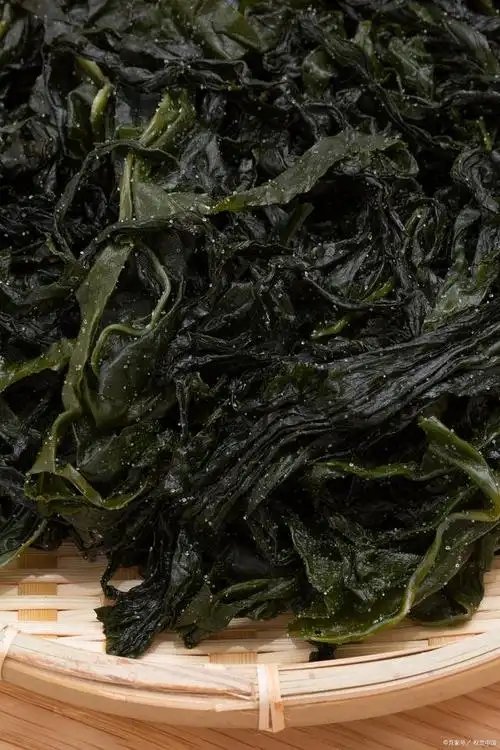 海带结 盐渍裙带菜 源头厂家 卤味关东煮麻辣烫火锅串串 宝宝菜