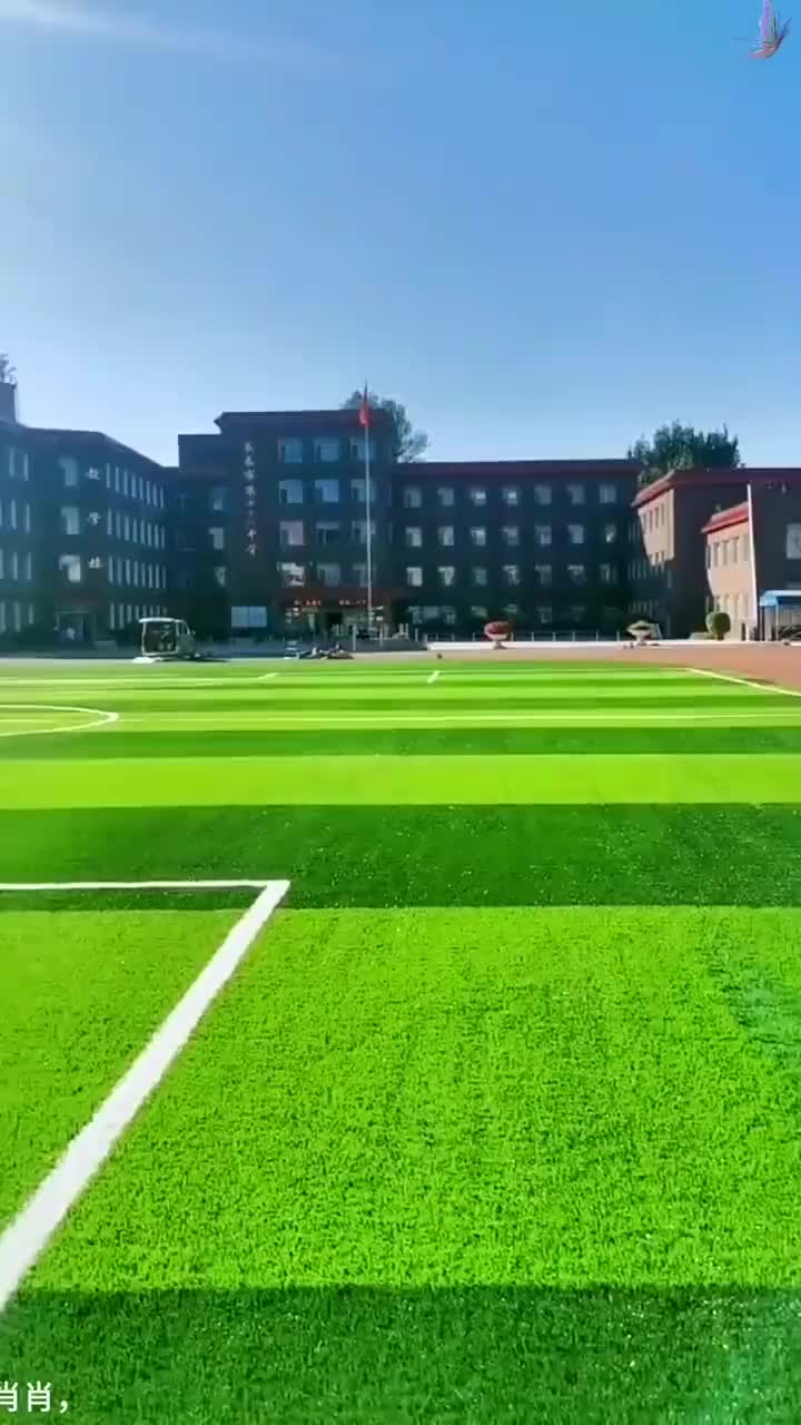 视频