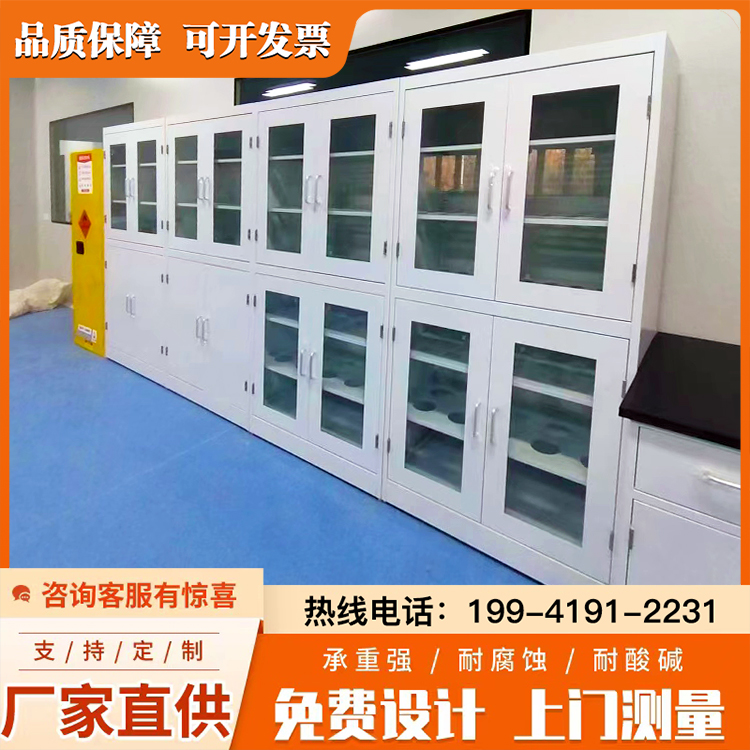 试剂柜 实验室药品储存柜 化验室样品存储柜 器皿柜按需定制 如卡本