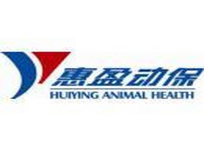 惠盈