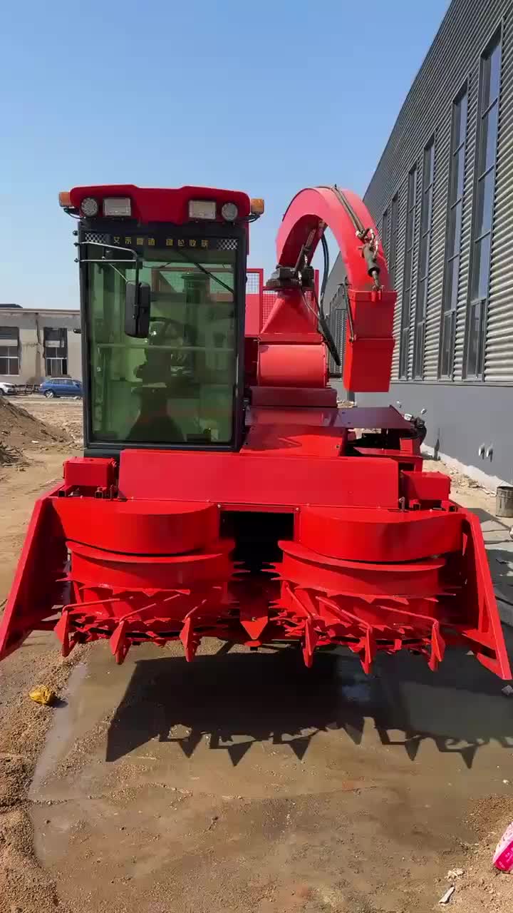 视频