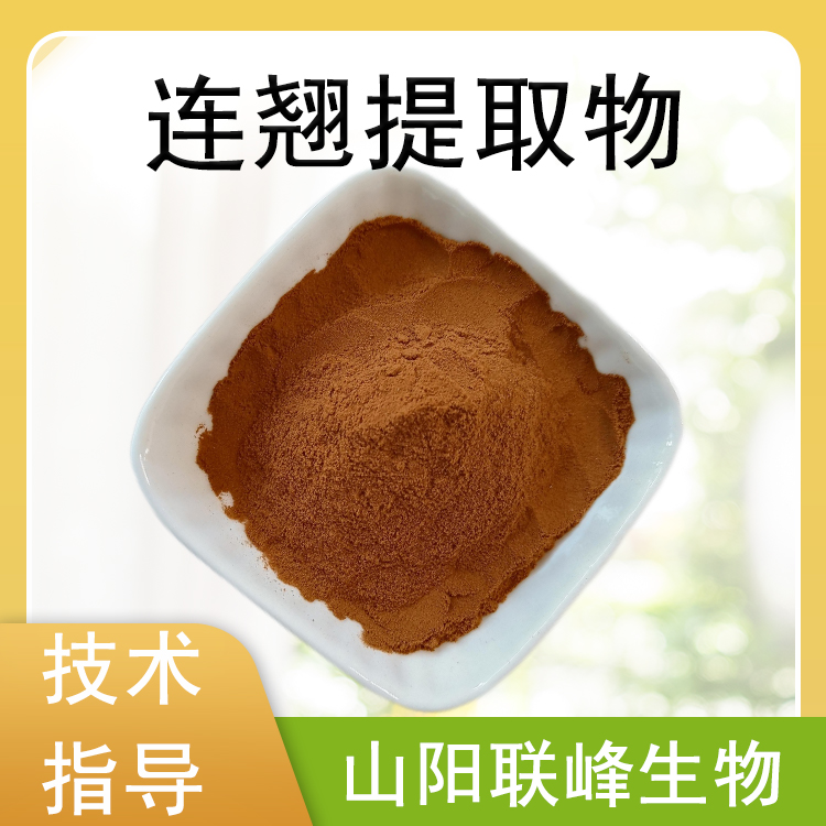 连翘提取物 10：1连翘浓缩粉 水溶食品级原料 支持定制 多规格