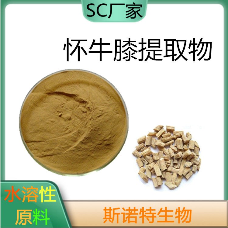 怀牛膝提取物 Achyranthes Bidentata extract 斯诺特生物