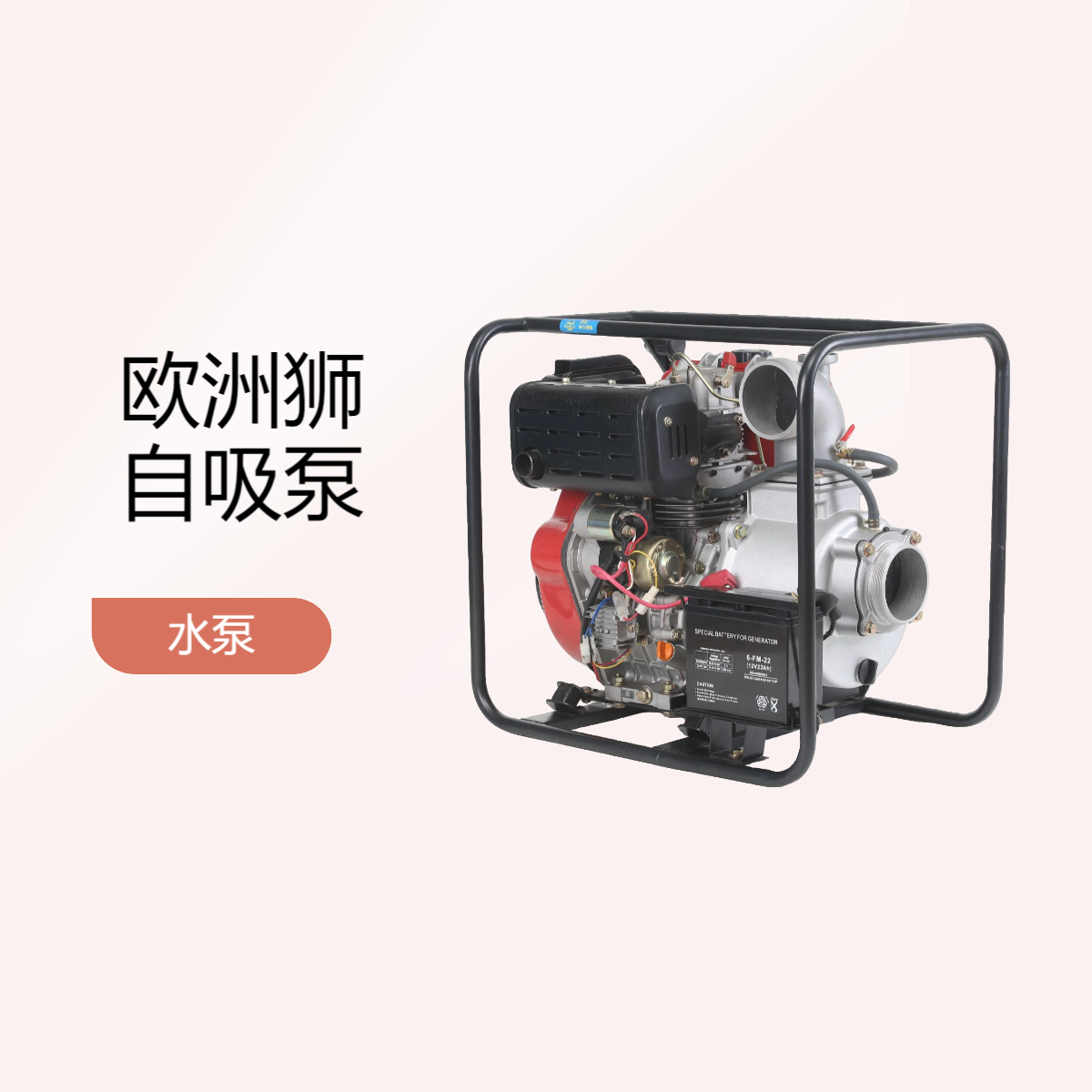 德国欧洲狮动力4寸柴油机水泵灌溉泵抽水防汛泵BT-40EW带手电启动