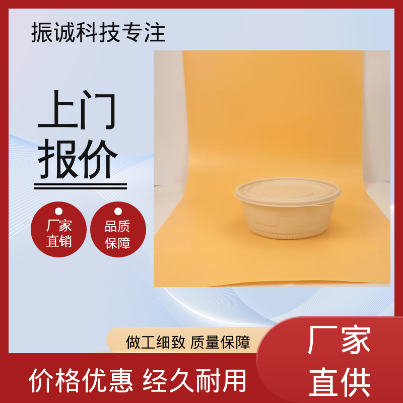 振诚科技 免洗碗 符合限塑标准餐盒 儿童带餐便携环保